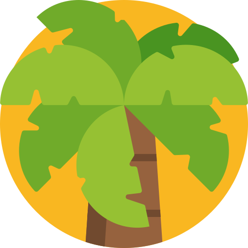 Palm tree